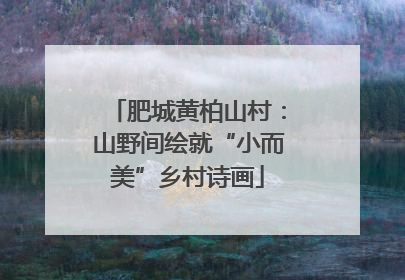 肥城黄柏山村：山野间绘就“小而美”乡村诗画