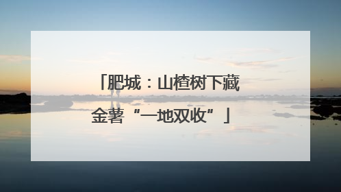 肥城：山楂树下藏金薯“一地双收”