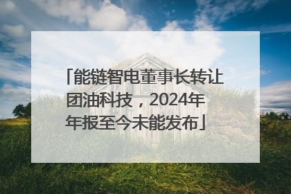 能链智电董事长转让团油科技，2024年年报至今未能发布
