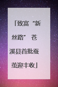 致富“新丝路” 苍溪县首批蚕茧迎丰收