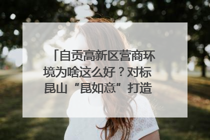 自贡高新区营商环境为啥这么好？对标昆山“昆如意”打造自贡“高兴办”｜美好生活有“盐”味