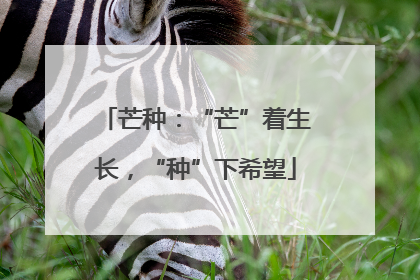 芒种：“芒”着生长，“种”下希望