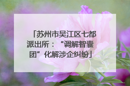 苏州市吴江区七都派出所：“调解智囊团”化解涉企纠纷