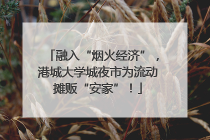 融入“烟火经济”，港城大学城夜市为流动摊贩“安家”！