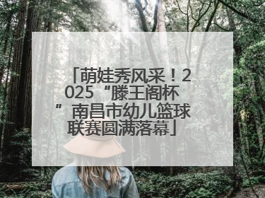 萌娃秀风采！2025“滕王阁杯”南昌市幼儿篮球联赛圆满落幕