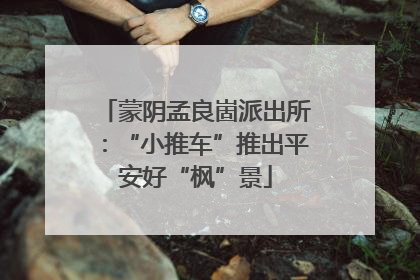 蒙阴孟良崮派出所：“小推车”推出平安好“枫”景