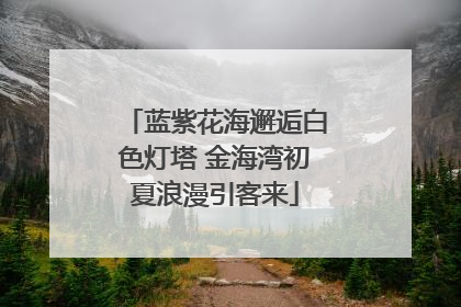 蓝紫花海邂逅白色灯塔 金海湾初夏浪漫引客来