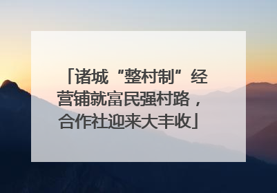 诸城“整村制”经营铺就富民强村路，合作社迎来大丰收