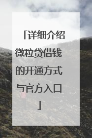 详细介绍微粒贷借钱的开通方式与官方入口
