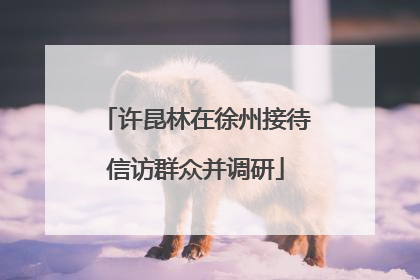 许昆林在徐州接待信访群众并调研