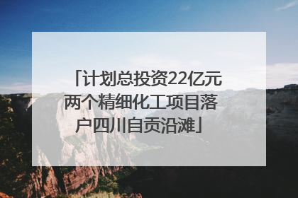 计划总投资22亿元 两个精细化工项目落户四川自贡沿滩