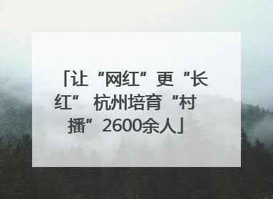 让“网红”更“长红” 杭州培育“村播”2600余人