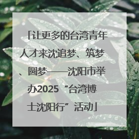 让更多的台湾青年人才来沈追梦、筑梦、圆梦——沈阳市举办2025“台湾博士沈阳行”活动