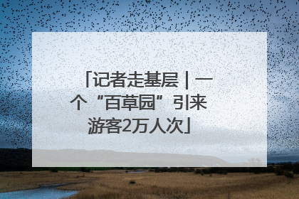 记者走基层｜一个“百草园”引来游客2万人次