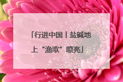 行进中国丨盐碱地上“渔歌”嘹亮