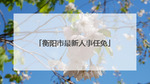 衡阳市最新人事任免