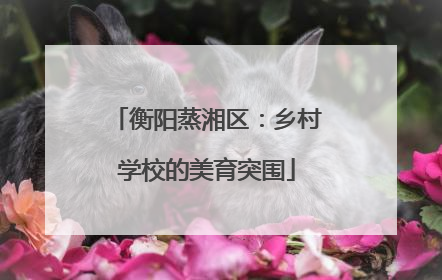 衡阳蒸湘区：乡村学校的美育突围