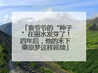 袁爷爷的“种子”在丽水发芽了！四年后，他的禾下乘凉梦这样延续