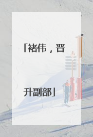 褚伟，晋升副部