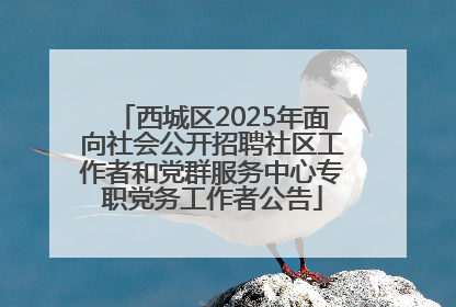 西城区2025年面向社会公开招聘社区工作者和党群服务中心专职党务工作者公告