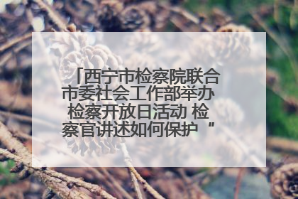 西宁市检察院联合市委社会工作部举办检察开放日活动 检察官讲述如何保护“少年的你”