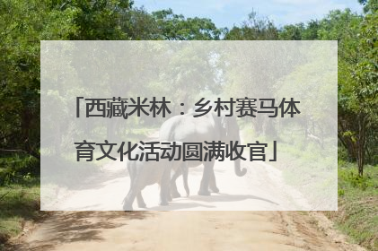 西藏米林：乡村赛马体育文化活动圆满收官