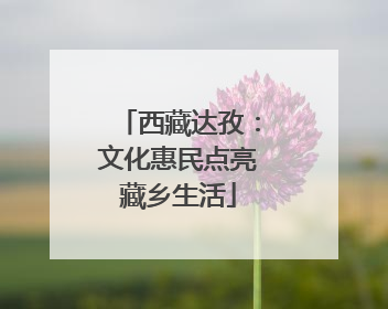 西藏达孜：文化惠民点亮藏乡生活