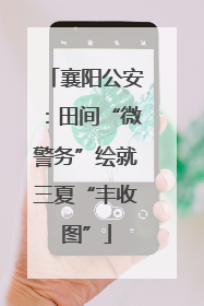 襄阳公安：田间“微警务”绘就三夏“丰收图”
