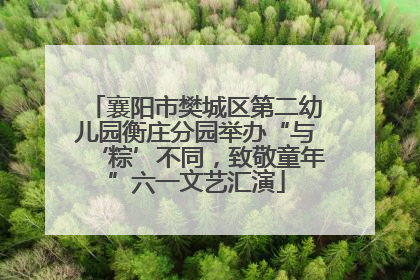 襄阳市樊城区第二幼儿园衡庄分园举办“与‘粽’不同，致敬童年”六一文艺汇演