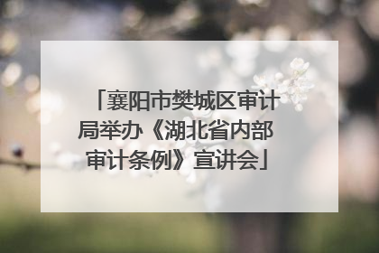 襄阳市樊城区审计局举办《湖北省内部审计条例》宣讲会