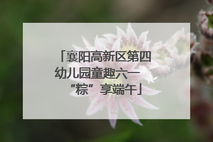 襄阳高新区第四幼儿园童趣六一 “粽”享端午
