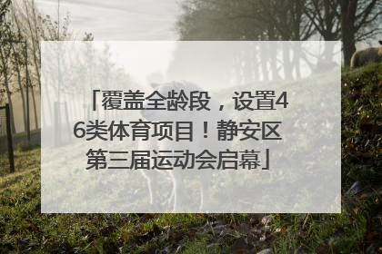 覆盖全龄段，设置46类体育项目！静安区第三届运动会启幕