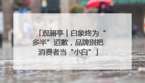 观澜亭｜白象终为“多半”道歉，品牌别把消费者当“小白”