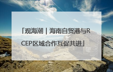 观海潮｜海南自贸港与RCEP区域合作互促共进