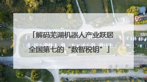 解码芜湖机器人产业跃居全国第七的“数智税钥”