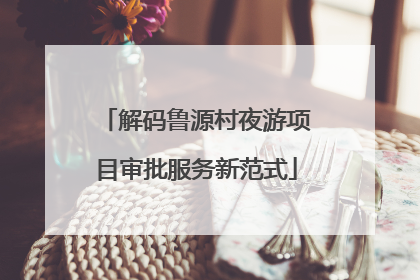 解码鲁源村夜游项目审批服务新范式