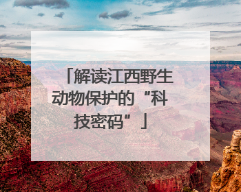 解读江西野生动物保护的“科技密码”