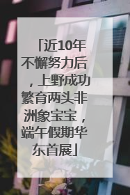 近10年不懈努力后，上野成功繁育两头非洲象宝宝，端午假期华东首展