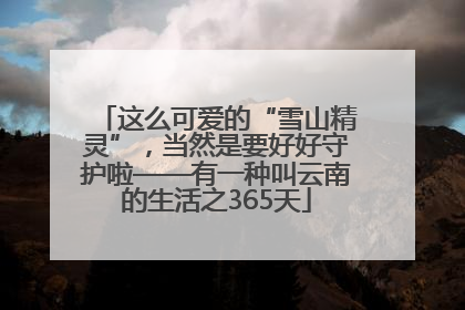 这么可爱的“雪山精灵”，当然是要好好守护啦——有一种叫云南的生活之365天