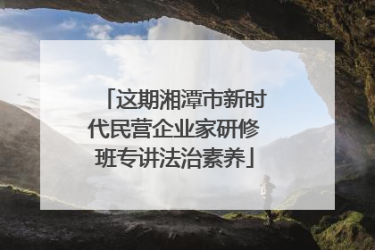 这期湘潭市新时代民营企业家研修班专讲法治素养