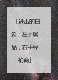 进击的白象：左手爆品，右手经销商