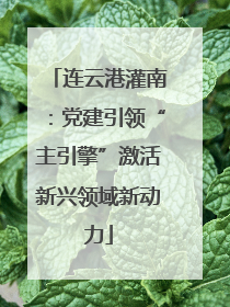 连云港灌南：党建引领“主引擎”激活新兴领域新动力