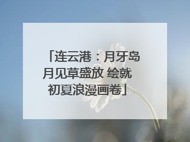 连云港：月牙岛月见草盛放 绘就初夏浪漫画卷