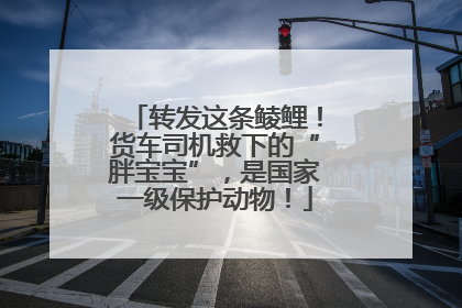 转发这条鲮鲤！货车司机救下的“胖宝宝”，是国家一级保护动物！