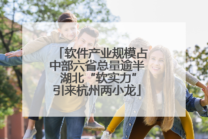 软件产业规模占中部六省总量逾半 湖北“软实力”引来杭州两小龙