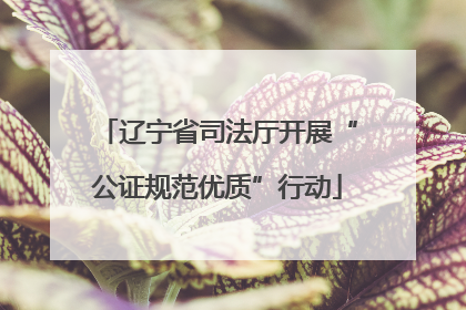 辽宁省司法厅开展“公证规范优质”行动