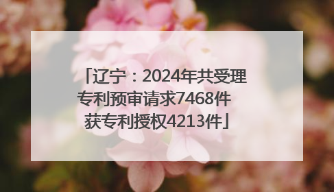 辽宁：2024年共受理专利预审请求7468件 获专利授权4213件