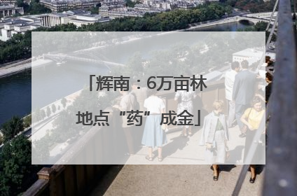 辉南：6万亩林地点“药”成金