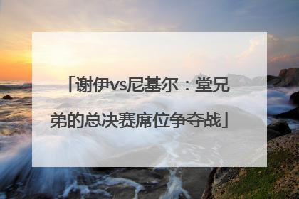 谢伊vs尼基尔：堂兄弟的总决赛席位争夺战