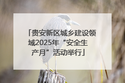 贵安新区城乡建设领域2025年“安全生产月”活动举行